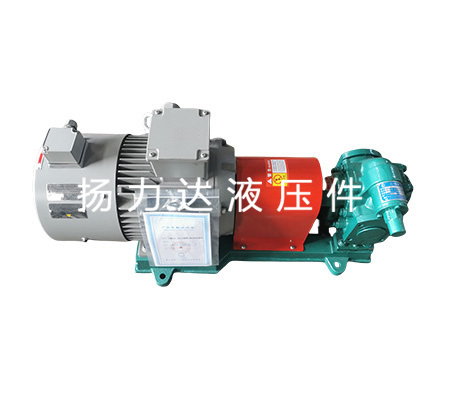 齿轮油泵运行维护